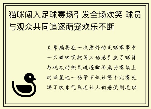 猫咪闯入足球赛场引发全场欢笑 球员与观众共同追逐萌宠欢乐不断