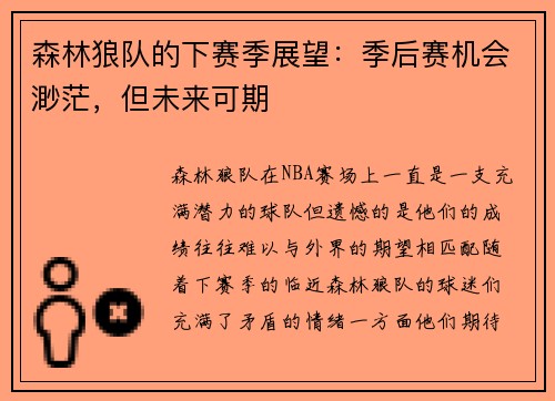 森林狼队的下赛季展望：季后赛机会渺茫，但未来可期