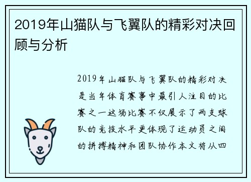 2019年山猫队与飞翼队的精彩对决回顾与分析